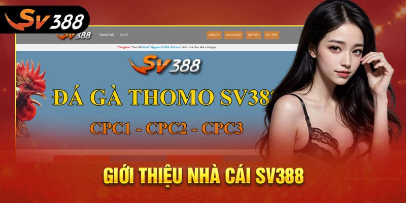 Giới thiệu nhà cái SV388